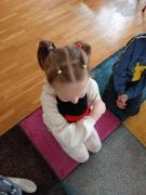 większy obrazek nr 1