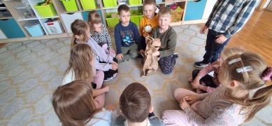 większy obrazek nr 40