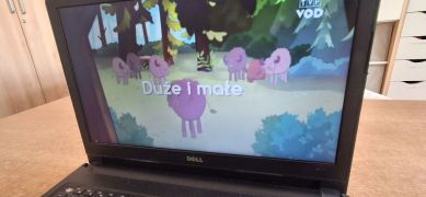 większy obrazek nr 42