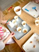 większy obrazek nr 6