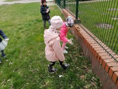 ilustracja do wpisu 
Akcja sprzątania świata