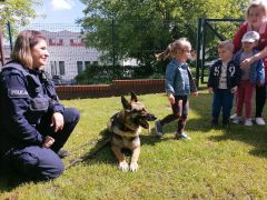 ilustracja do wpisu 
Wizyta Wandzi