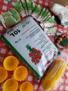 ilustracja do wpisu 
"WIOSENNE PRZYGOTOWANIA DO ŚWIĄT WIELKANOCNYCH"