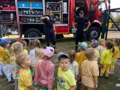 większy obrazek nr 16