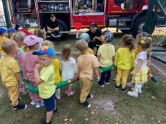 większy obrazek nr 17