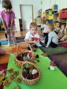 większy obrazek nr 6