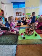 większy obrazek nr 7