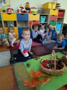 większy obrazek nr 9