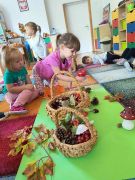 większy obrazek nr 10