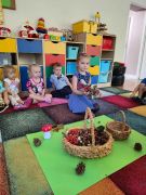 większy obrazek nr 12