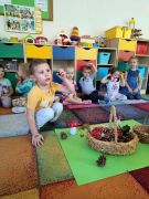 większy obrazek nr 13