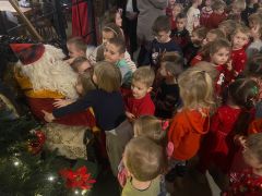 większy obrazek nr 15