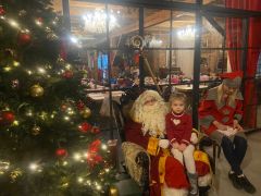 większy obrazek nr 17