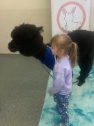 ilustracja do wpisu 
Puchata radość