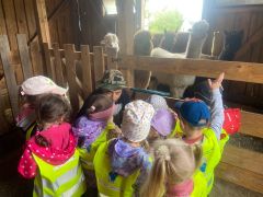 większy obrazek nr 3