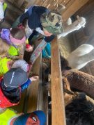 większy obrazek nr 5