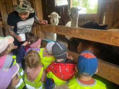 większy obrazek nr 6