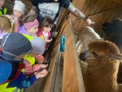 większy obrazek nr 8