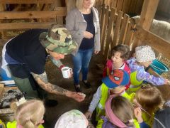 większy obrazek nr 9