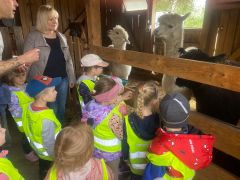 większy obrazek nr 10