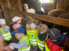 większy obrazek nr 11