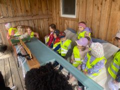 większy obrazek nr 12