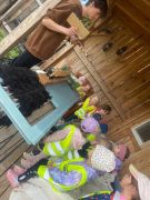 większy obrazek nr 13