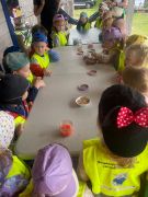 większy obrazek nr 15