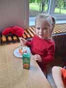 większy obrazek nr 7