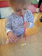 większy obrazek nr 11