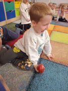 większy obrazek nr 3