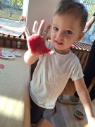 większy obrazek nr 8