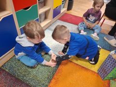 większy obrazek nr 6