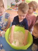 większy obrazek nr 6