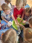 większy obrazek nr 8