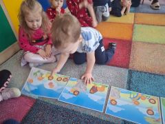 większy obrazek nr 5