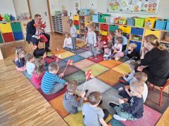 większy obrazek nr 11