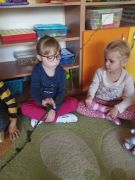 ilustracja do wpisu 
Czym się żywią drzewa?