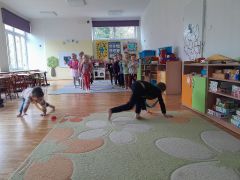 większy obrazek nr 16