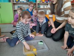 większy obrazek nr 3