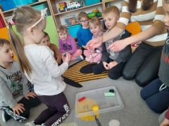 większy obrazek nr 5