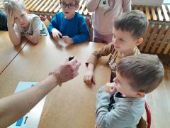 większy obrazek nr 16