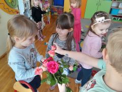 większy obrazek nr 7