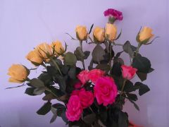 większy obrazek nr 15