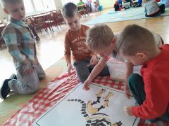 większy obrazek nr 11