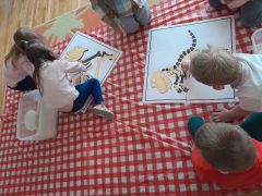 większy obrazek nr 13