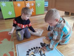 większy obrazek nr 16