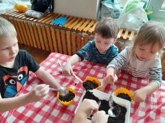 większy obrazek nr 8