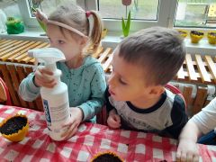 większy obrazek nr 21