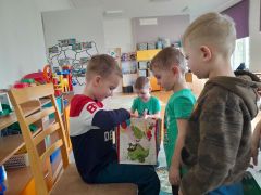 większy obrazek nr 5